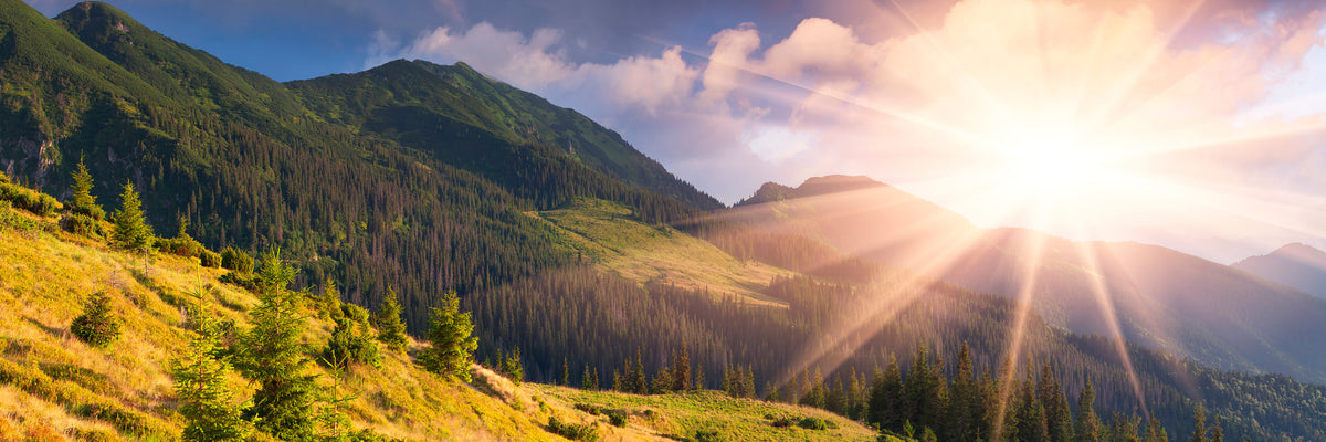 panoramic-aluminium-print-beginning-of-autumn-panorama