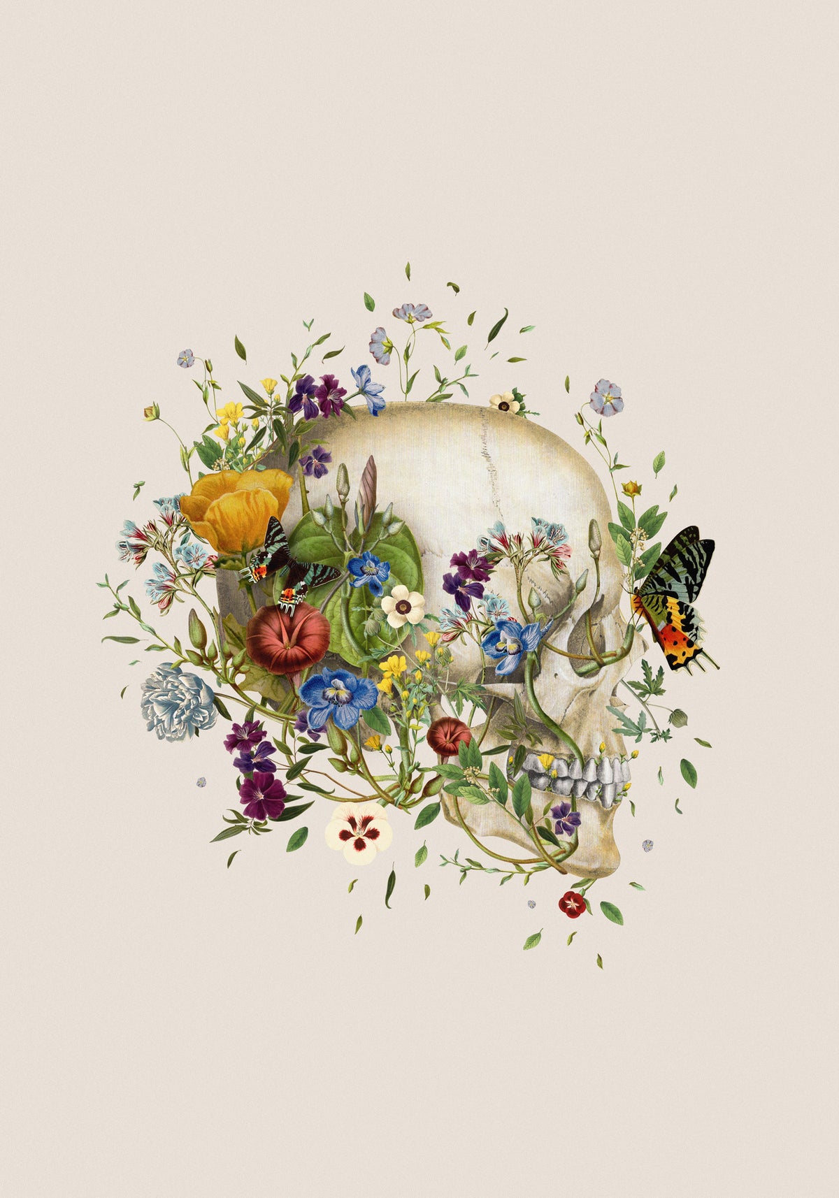 framedposter-print-floral-skull