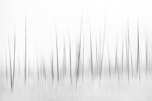 canvas-print-wintry-scenery-in-yellowstone