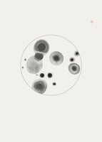 framedcanvas-print-petri-dish