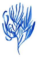 acrylic-print-blue-aquatic-plant-poster-4