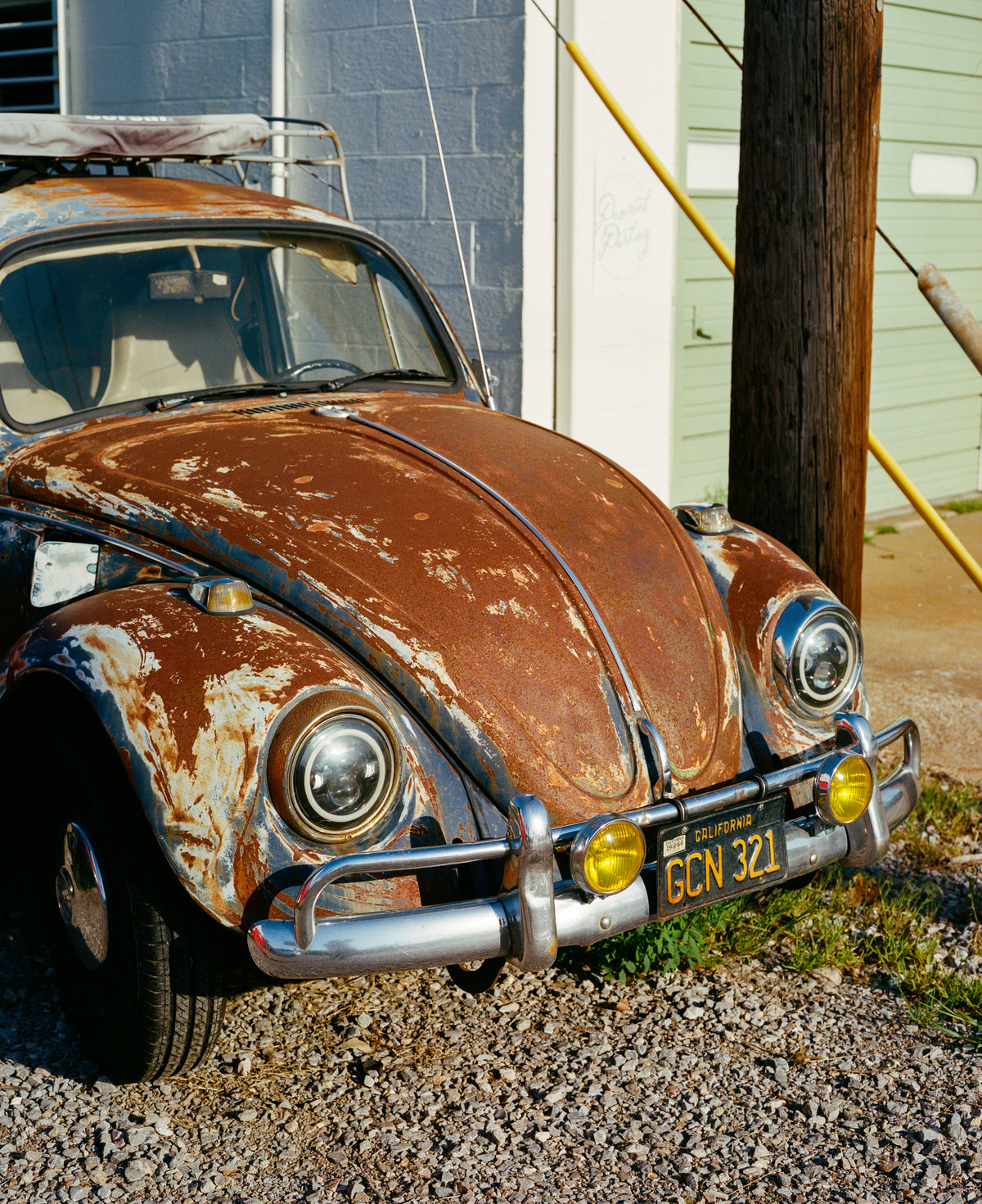 acrylic-print-california-bug