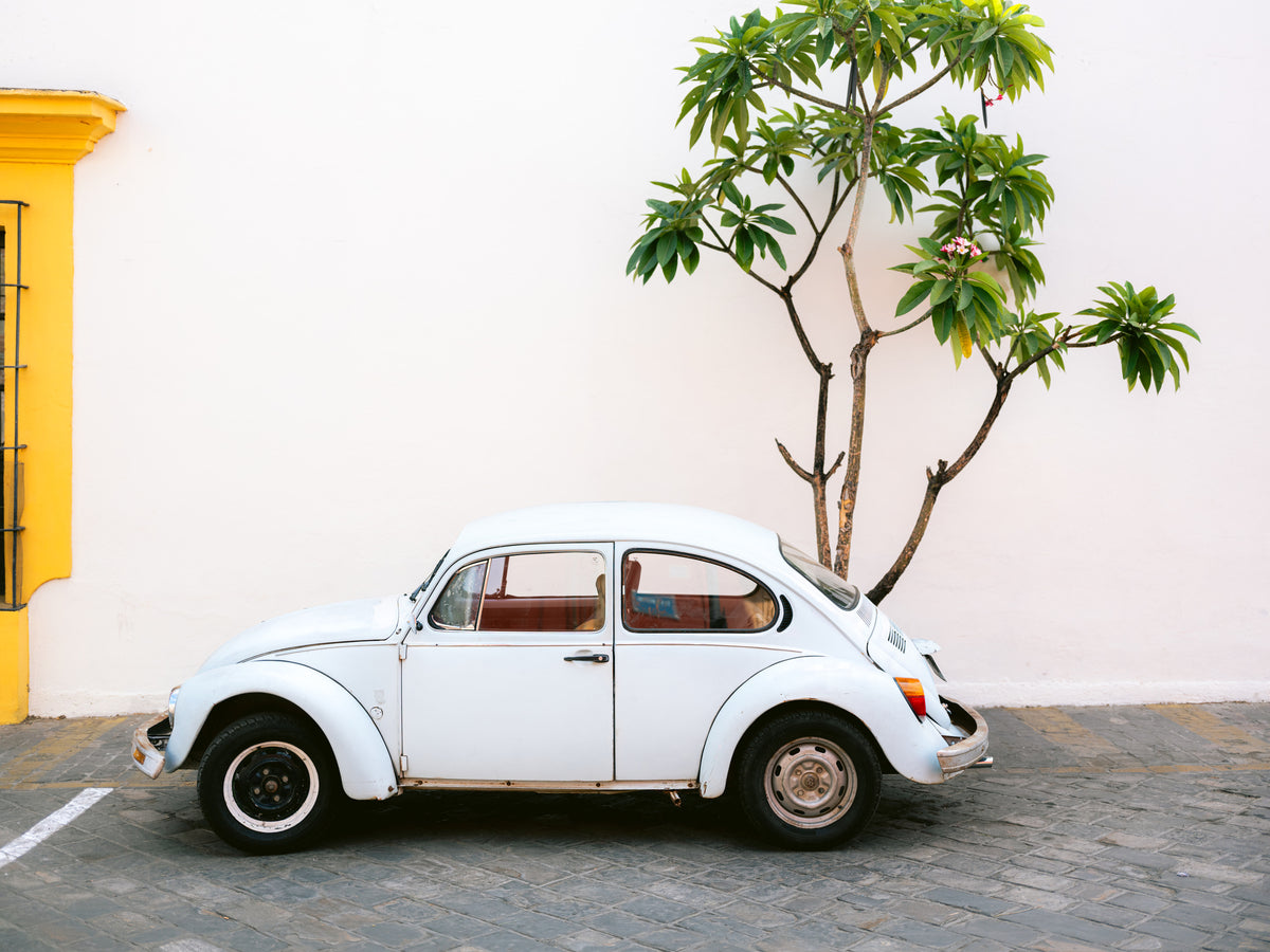 aluminium-print-pastel-volskwagen-beetle-in-the-streets-of-oaxaca-mexico-2