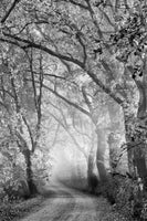 canvas-print-tuscan-dream-alley