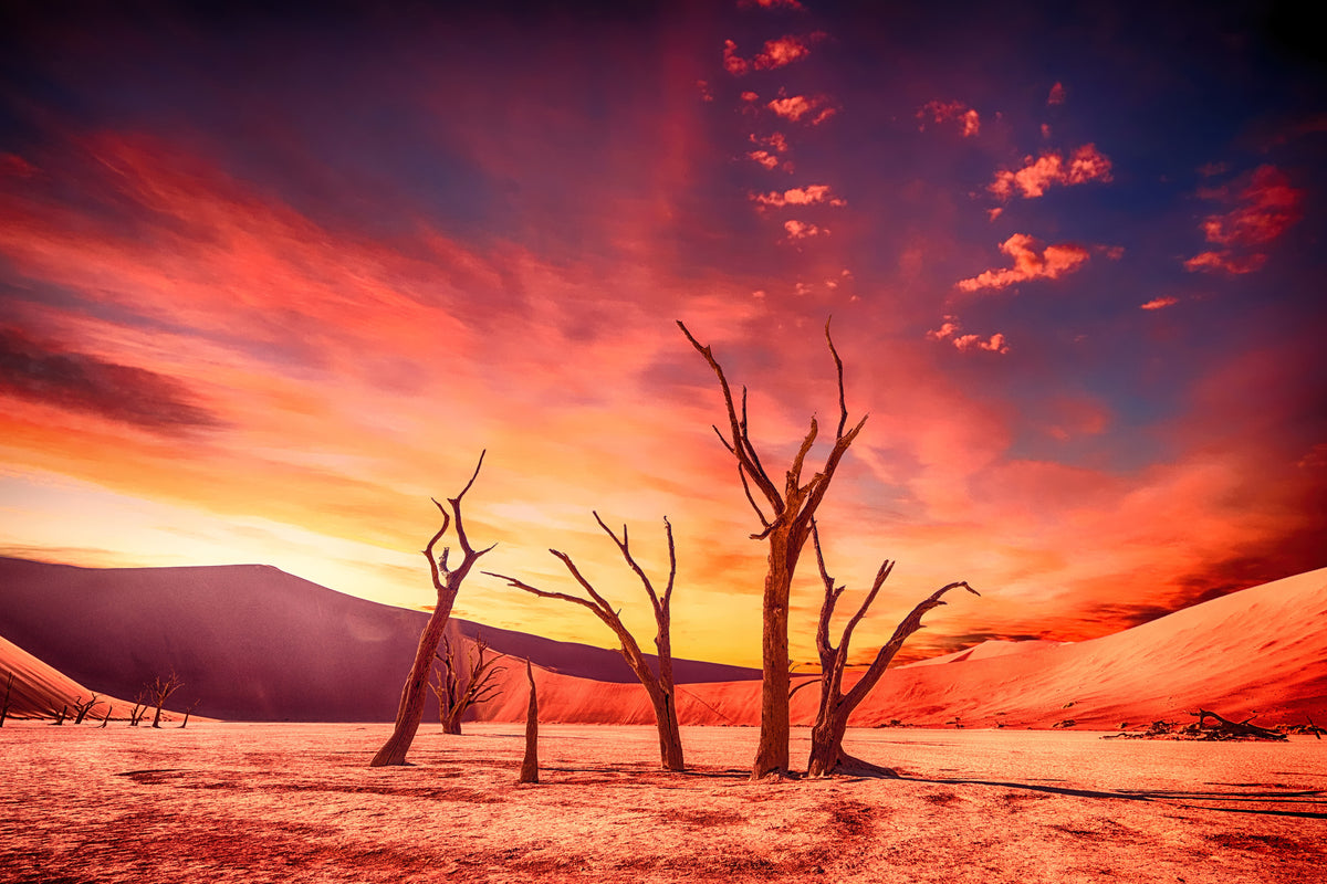 canvas-print-colorful-desert