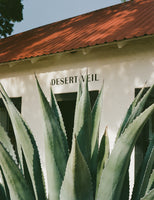 canvas-print-desert-veil