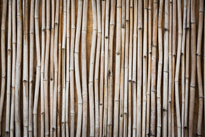 framedcanvas-print-dried-bamboos
