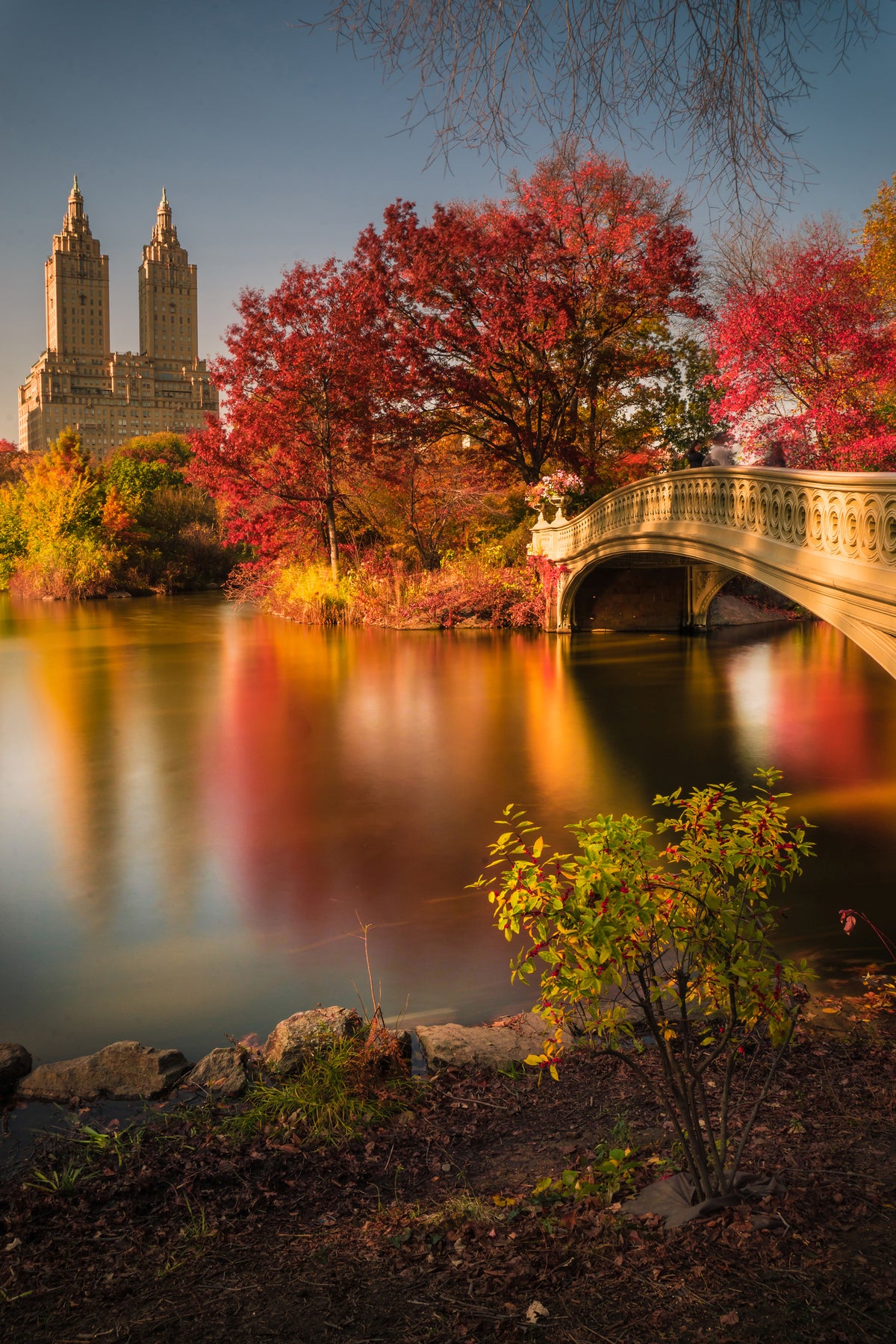acrylic-print-fall-in-central-park-x