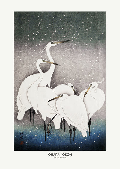 poster-print-group-of-egrets