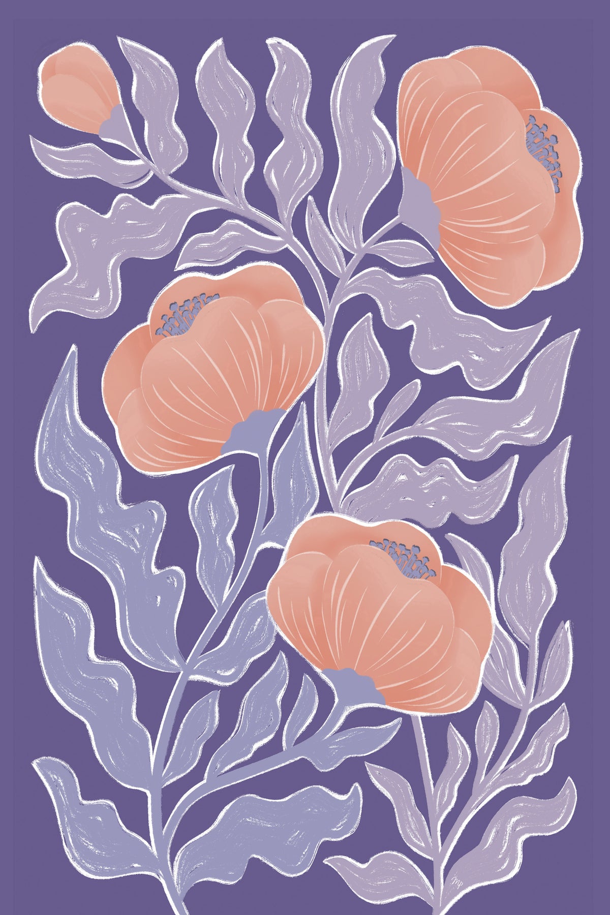 acrylic-print-poppies-5