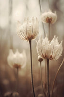 framedcanvas-print-ethereal-blooms-6