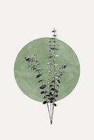 aluminium-print-nature039s-echo