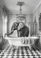 aluminium-print-a-bathroom-occupied