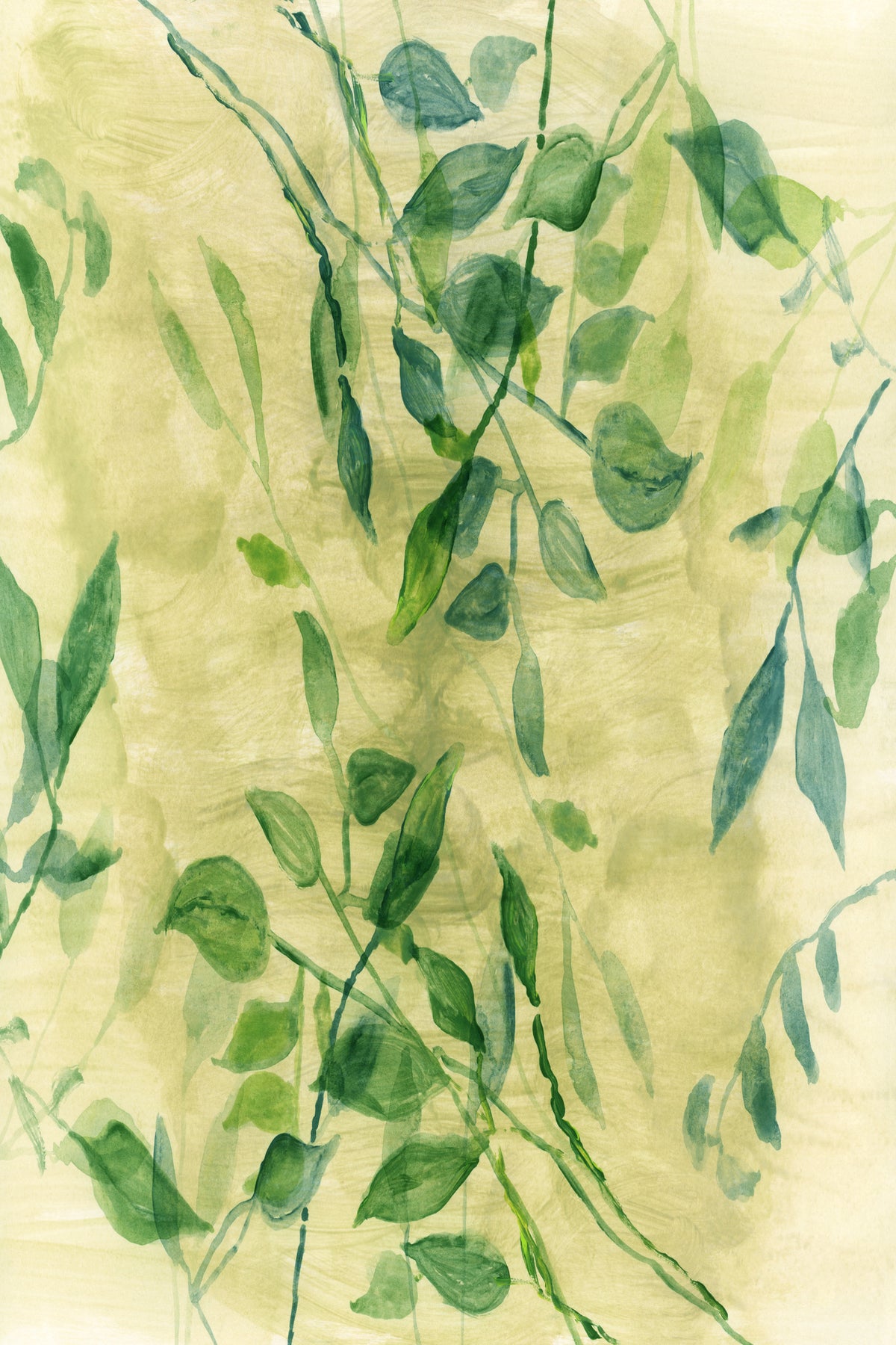 canvas-print-vine-canopy