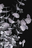 canvas-print-eucalyptus-negative-003