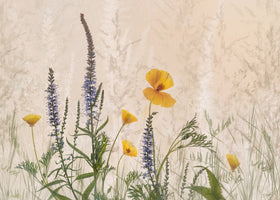 4-piece-aluminium-print-dreaming-of-flowers-2