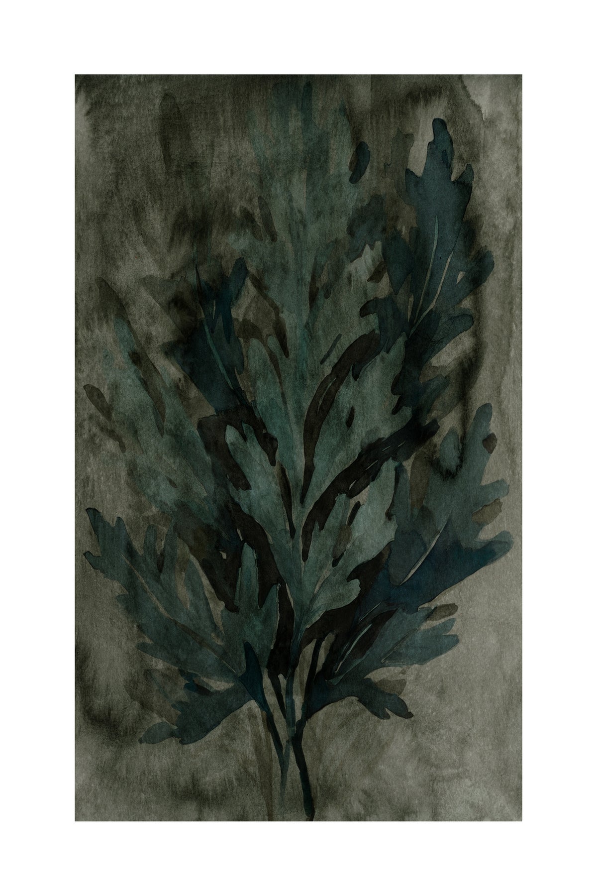framedposter-print-deepwater-bloom-3