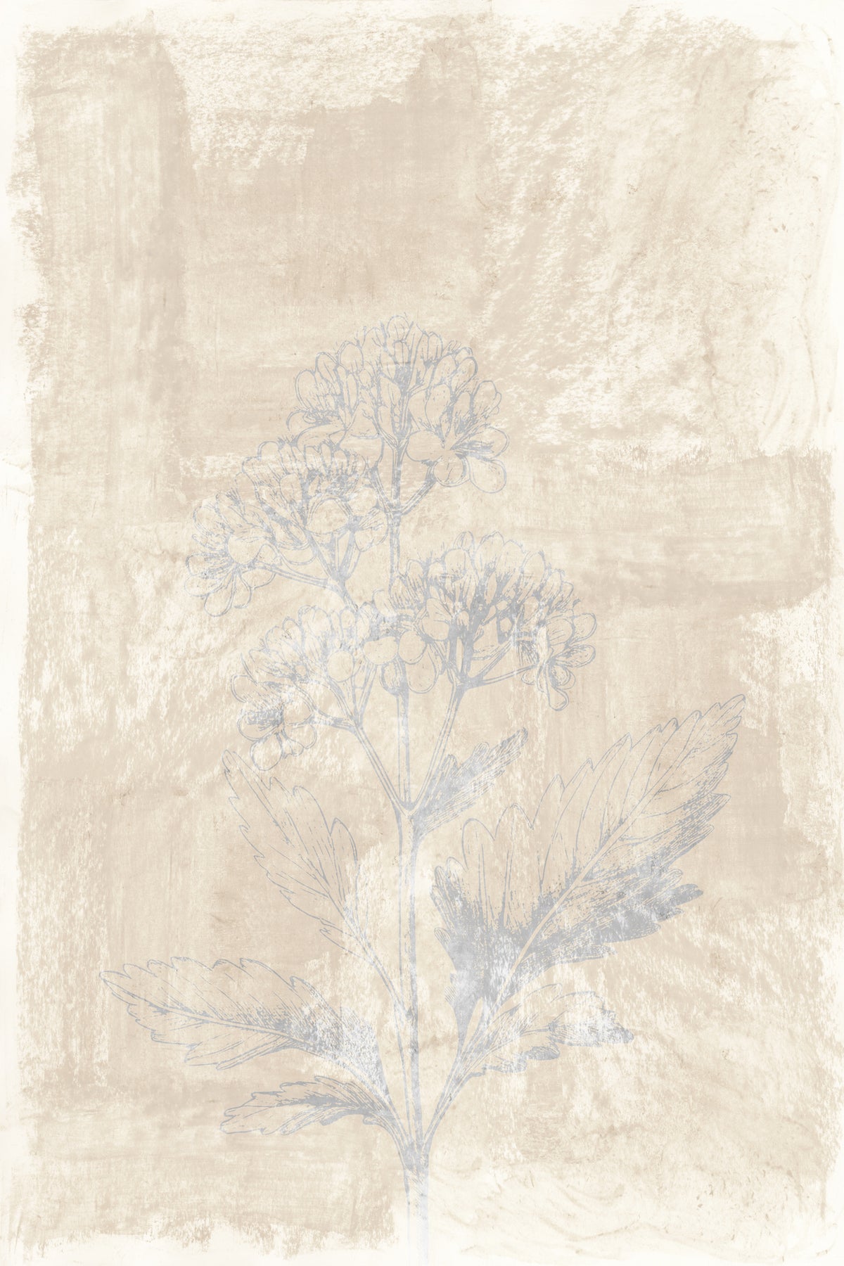 framedposter-print-woodsia-3