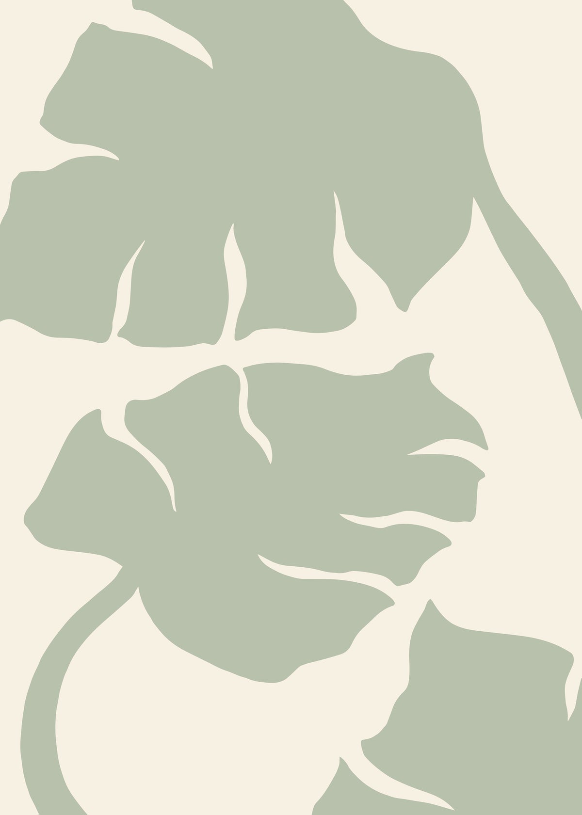 acrylic-print-monstera-sage-green