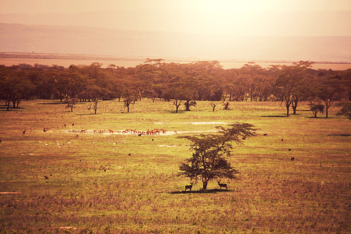 acrylic-print-picturesque-africa