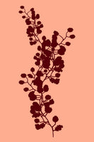 acrylic-print-floral-silhouette-3