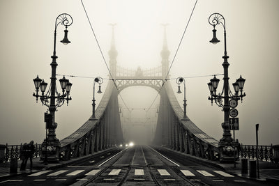 poster-print-the-bridge-x