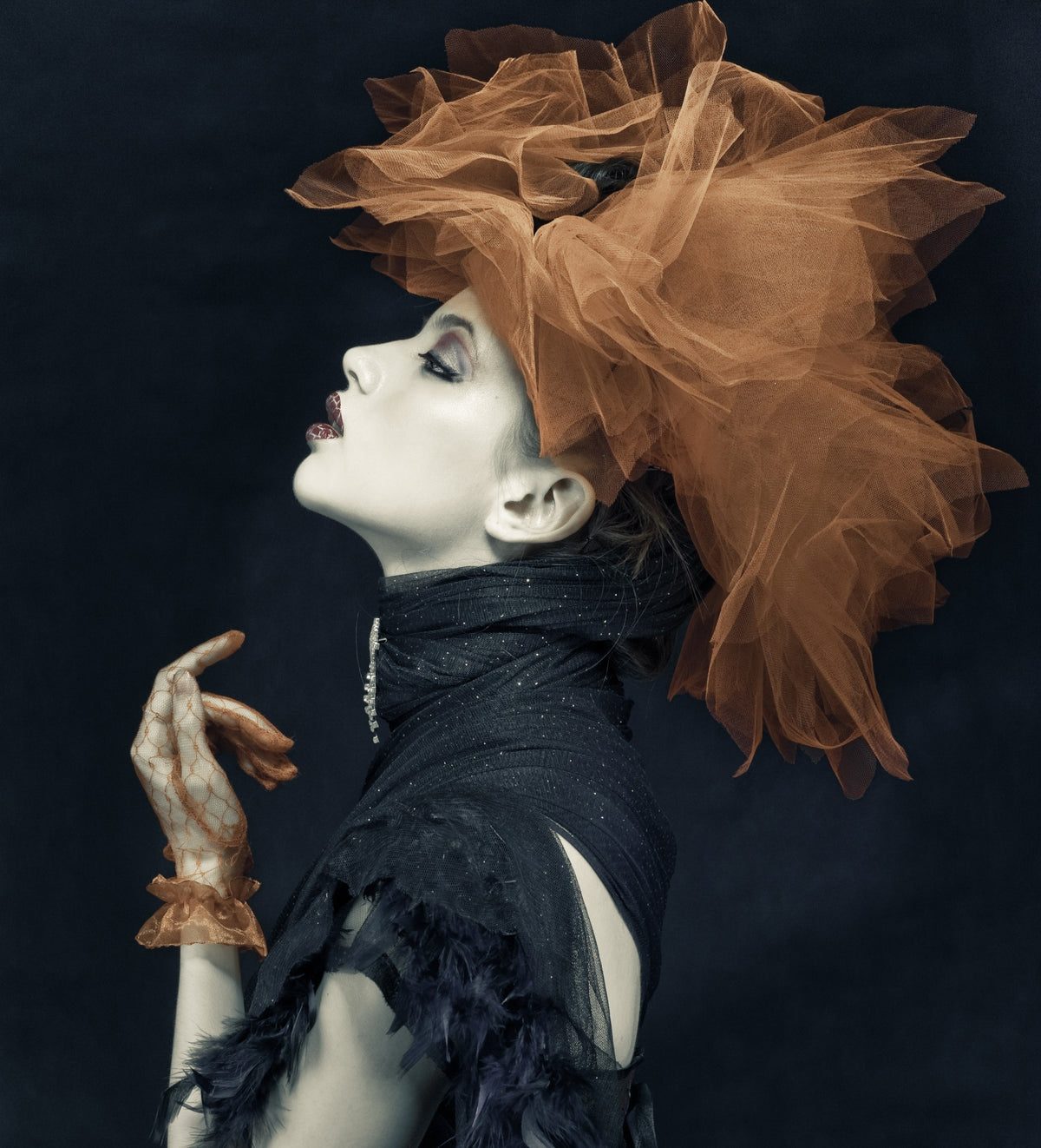 poster-print-imperious-lady