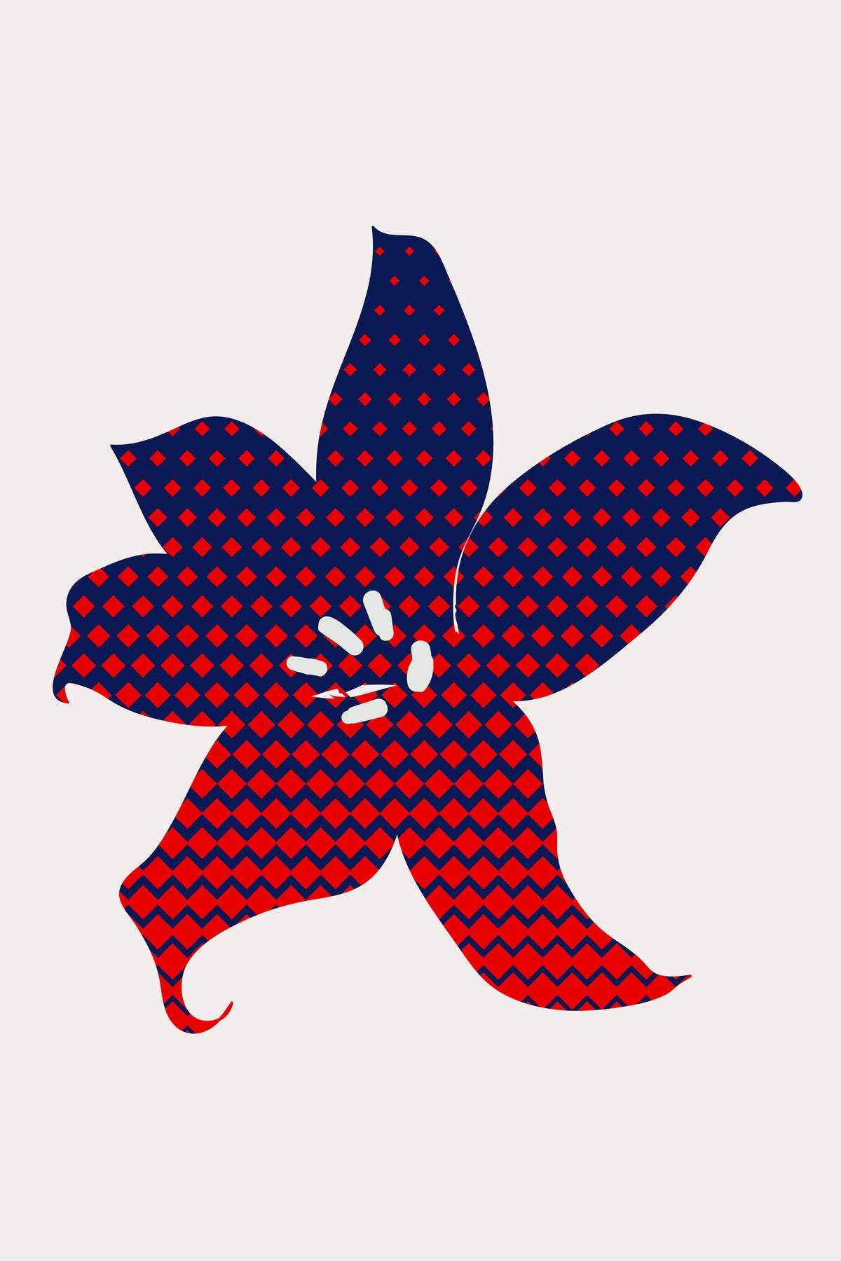 framedposter-print-pop-flower