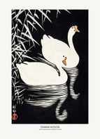 acrylic-print-white-chinese-geese-swimming-by-reeds