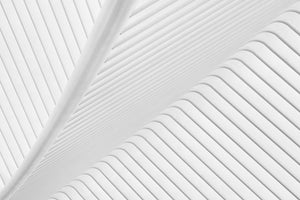 3-piece-canvas-print-canopy
