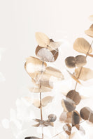 canvas-print-eucalyptus-creative-gold-01