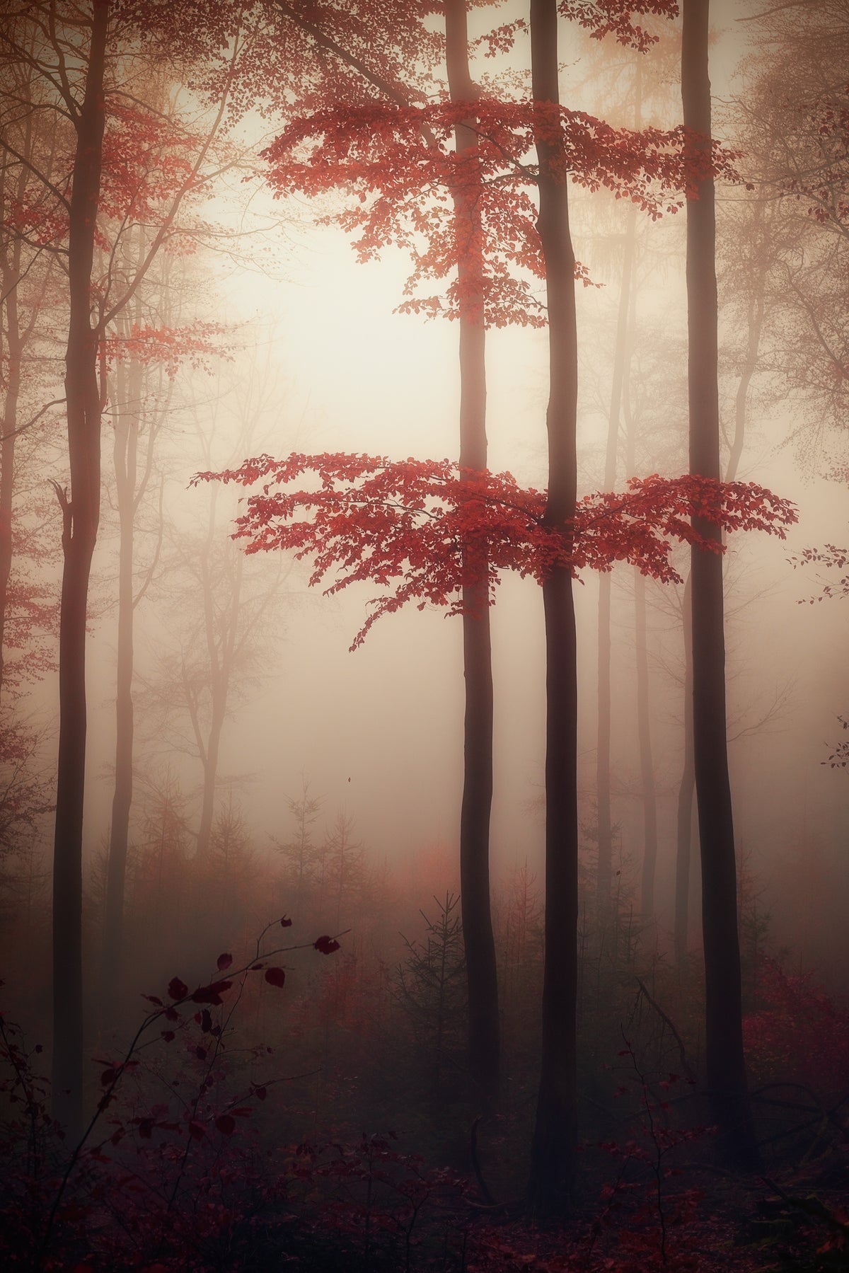 poster-print-autumn-light-3