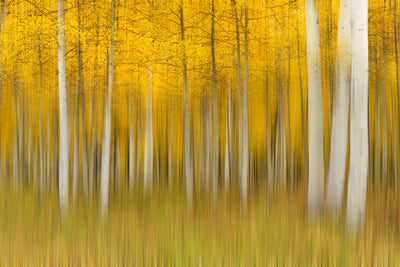 poster-print-autumn-dream-ii