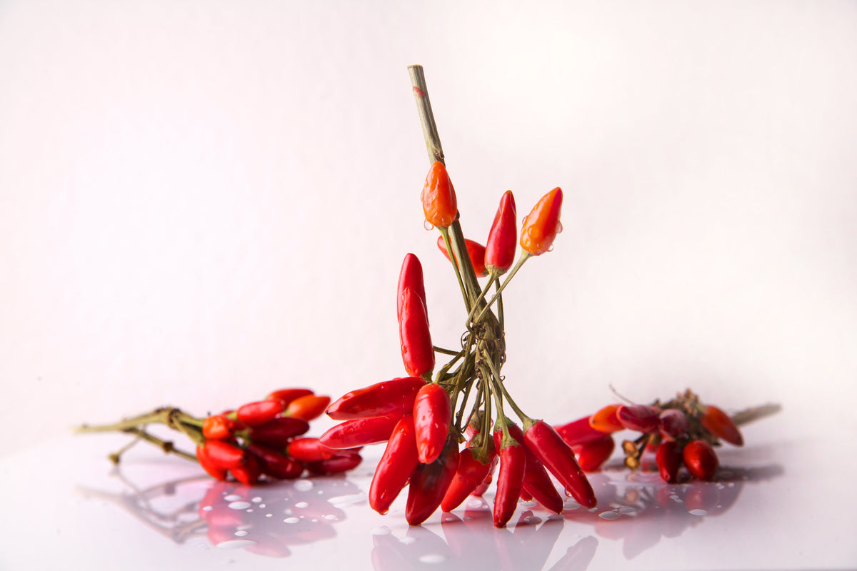 acrylic-print-a-bouquet-of-chili