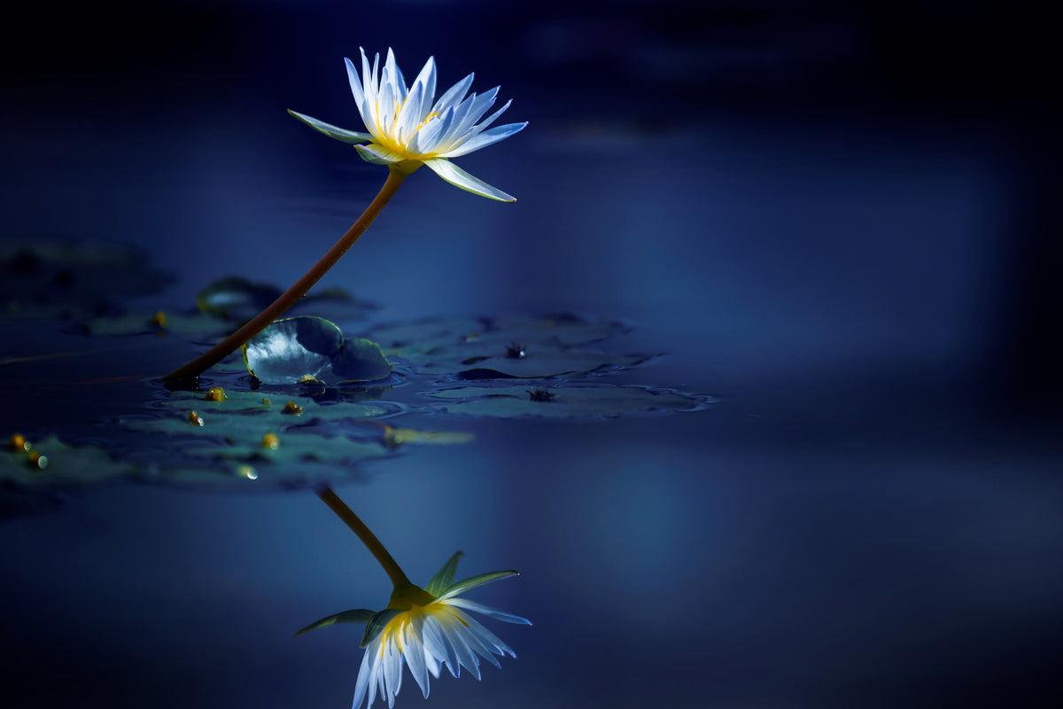 framedposter-print-reflection-xdb