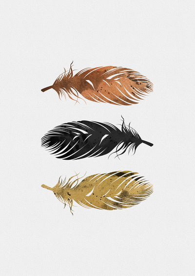poster-print-feathers-2