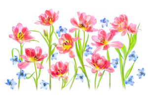 acrylic-print-spring-delight-x