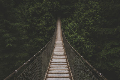 poster-print-exciting-bridge