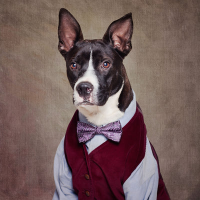 poster-print-shelter-pets-project-petey