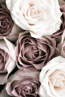 framedposter-print-roses-3