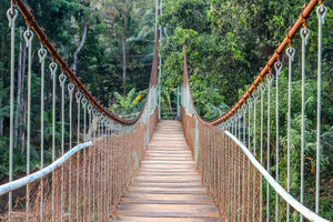 aluminium-print-bridge-for-the-brave
