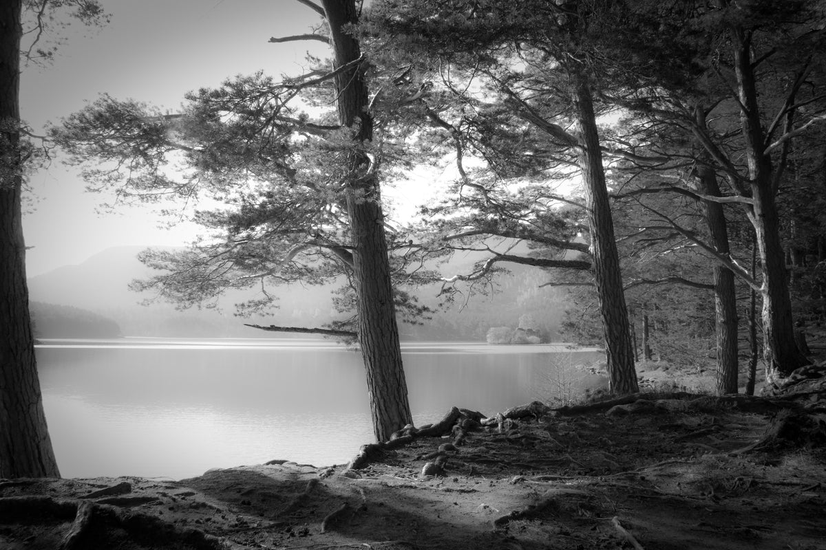 framedcanvas-print-loch-an-eilein