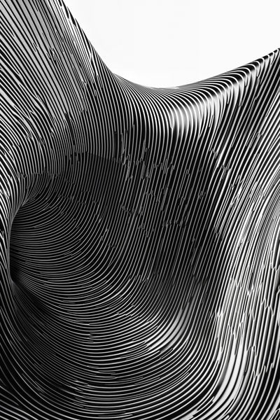 poster-print-zebra-contour-structure