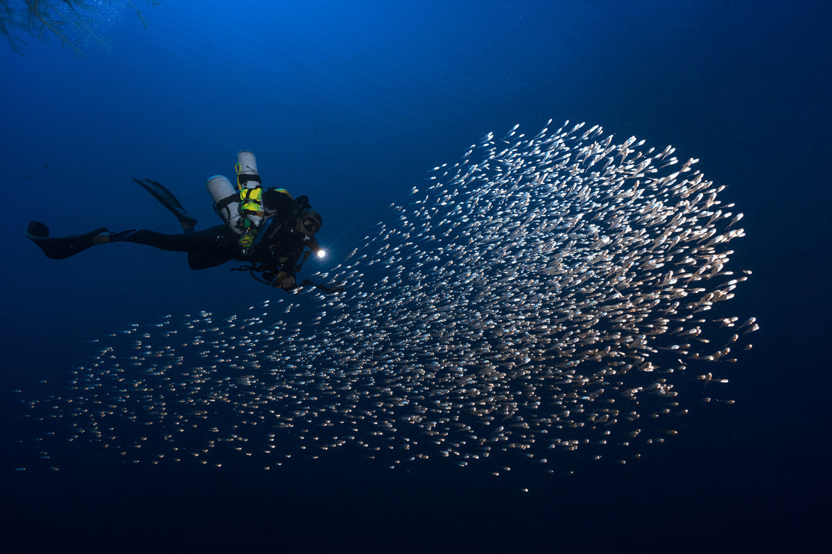 aluminium-print-alvin-shoal