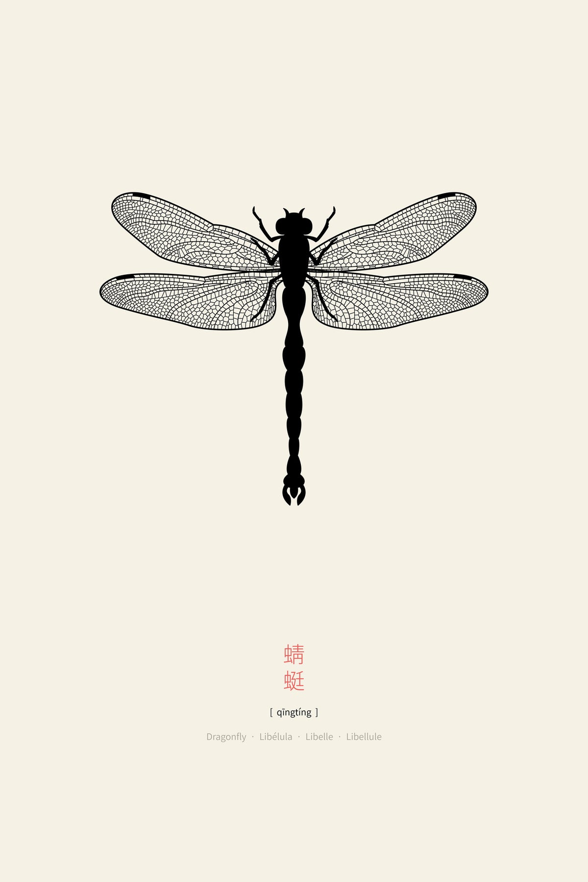 framedcanvas-print-dragonfly-2