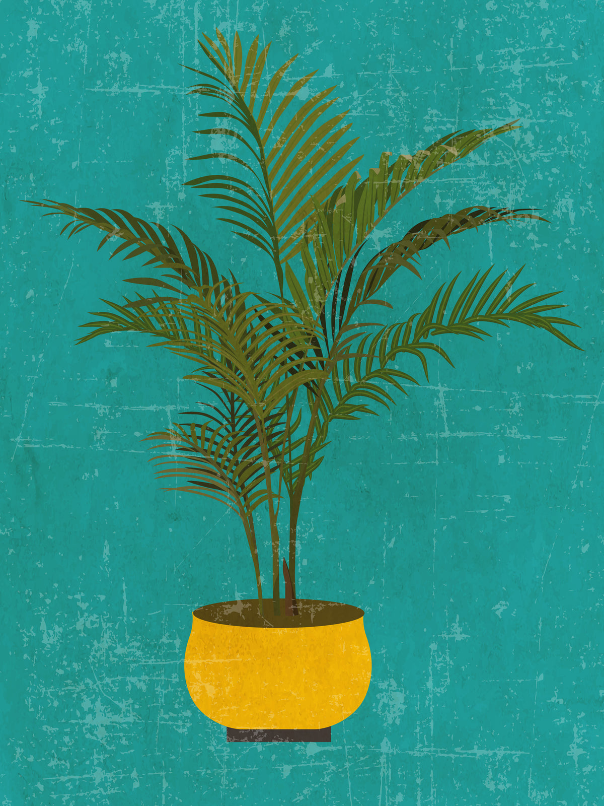 framedcanvas-print-areca-plant-standard-wall-art