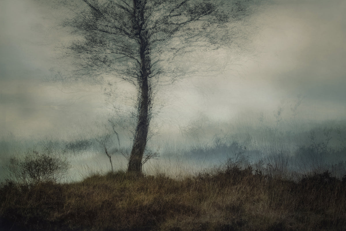 3-piece-canvas-print-silent