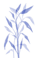 framedposter-print-gentle-blue-leaves