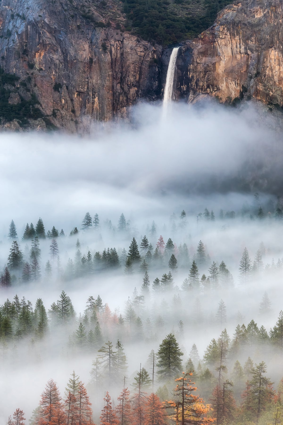 canvas-print-mist-falls