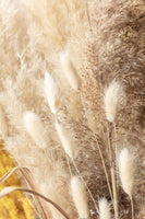 canvas-print-dried-bouquet